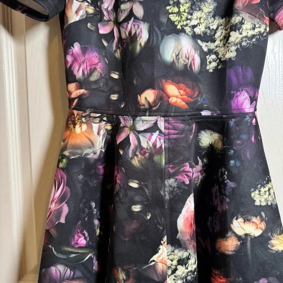 Ted Baker Tamary Shadow Floral Skater Dress Size 1= US 4 - Picture 5 of 13